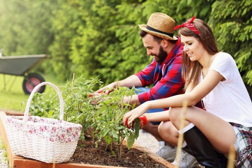 Professional tree lopping services in Putney