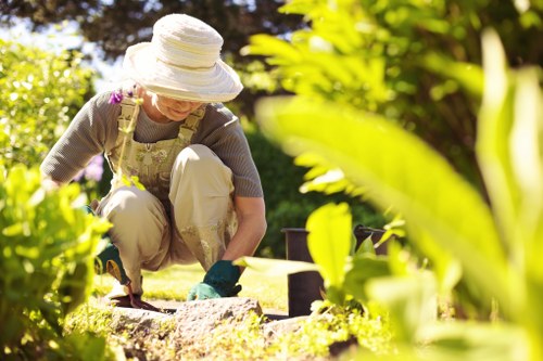Professional landscapers designing an outdoor space in Putney
