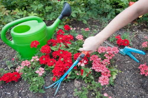 Summer garden maintenance with watering and pruning