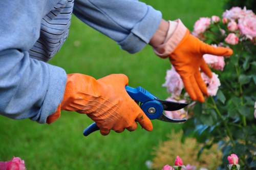 Various garden clearance services offered in Putney