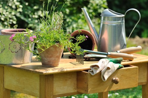 Lush Putney garden with native plants and water features