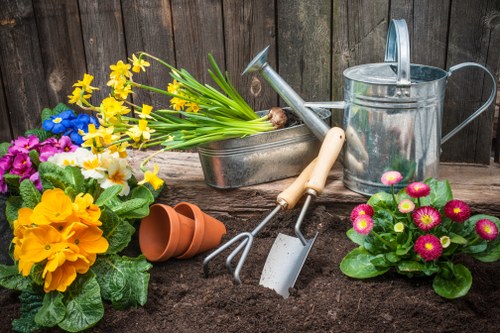 Autumn garden cleanup with fallen leaves and preparing for winter
