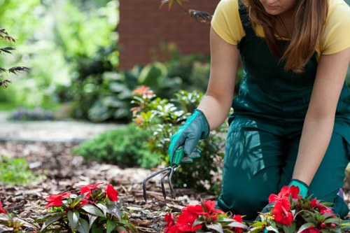 Benefits of regular garden clearance in Putney