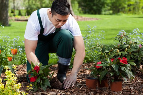 Professional gardener trimming a hedge in Putney