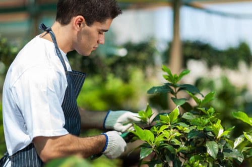 Professional gardeners working in a Putney garden