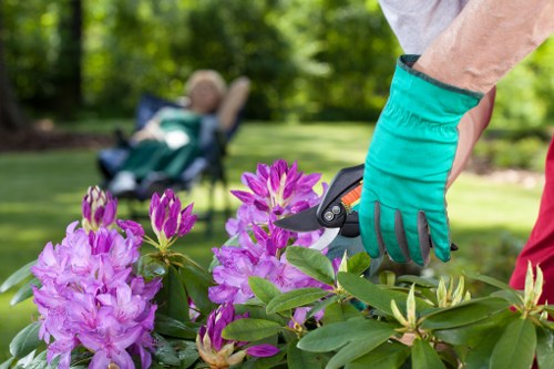 Advanced hedge trimming tools and techniques