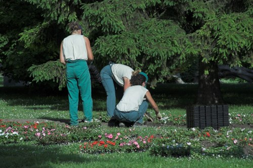 Eco-friendly lawn mowing equipment in Putney