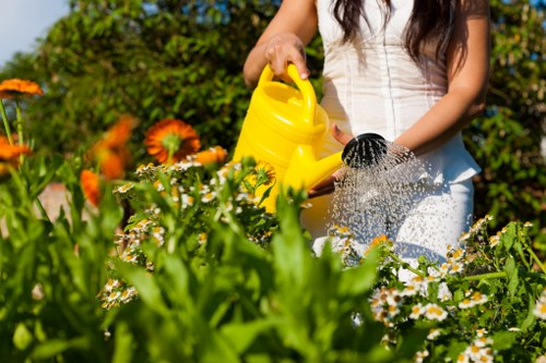 Healthy green lawn maintained by experts in Putney