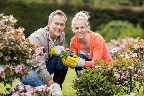 Call to action for garden clearance services in Putney